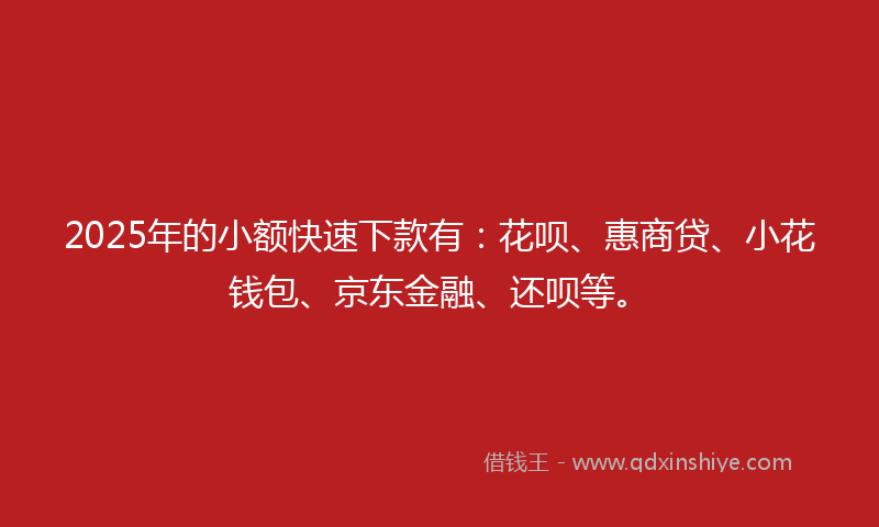 2025年的小额快速下款有：花呗、惠商贷、小花钱包、京东金融、还呗等。