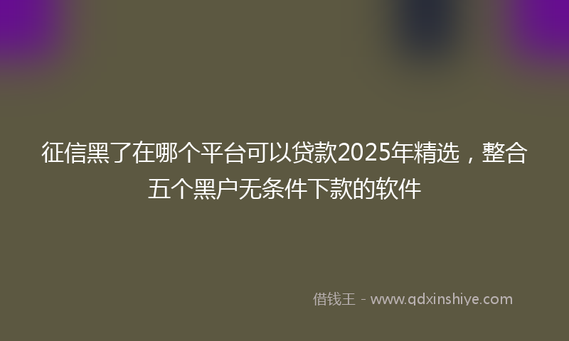 征信黑了在哪个平台可以贷款2025年精选，整合五个黑户无条件下款的软件