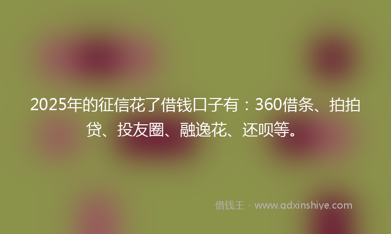 2025年的征信花了借钱口子有：360借条、拍拍贷、投友圈、融逸花、还呗等。