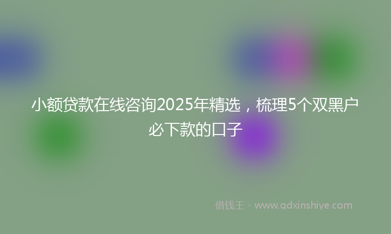 小额贷款在线咨询2025年精选，梳理5个双黑户必下款的口子