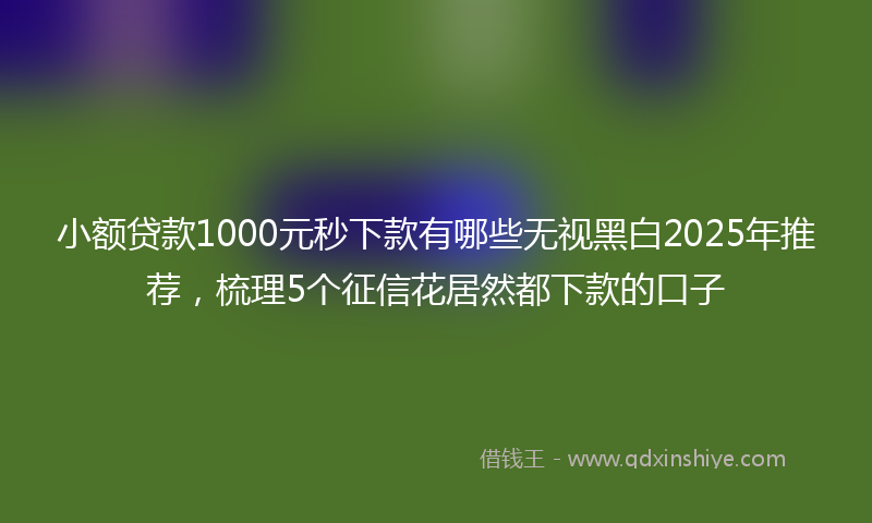小额贷款1000元秒下款有哪些无视黑白2025年推荐，梳理5个征信花居然都下款的口子