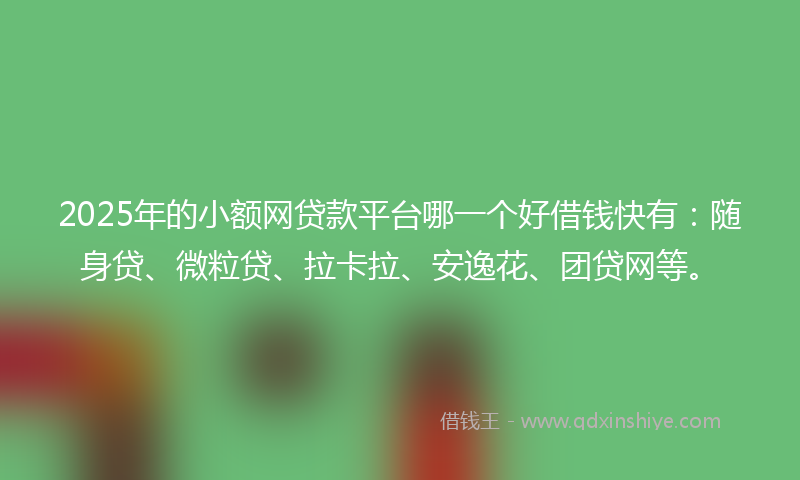 2025年的小额网贷款平台哪一个好借钱快有：随身贷、微粒贷、拉卡拉、安逸花、团贷网等。
