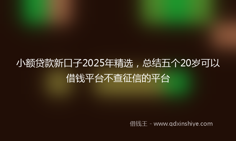 小额贷款新口子2025年精选，总结五个20岁可以借钱平台不查征信的平台