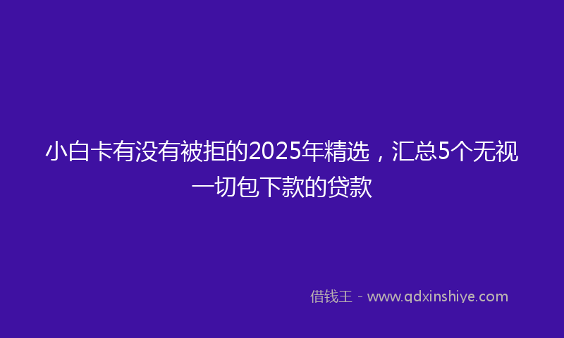 小白卡有没有被拒的2025年精选，汇总5个无视一切包下款的贷款