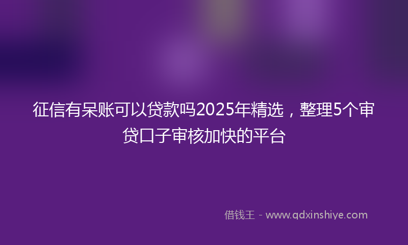 征信有呆账可以贷款吗2025年精选，整理5个审贷口子审核加快的平台