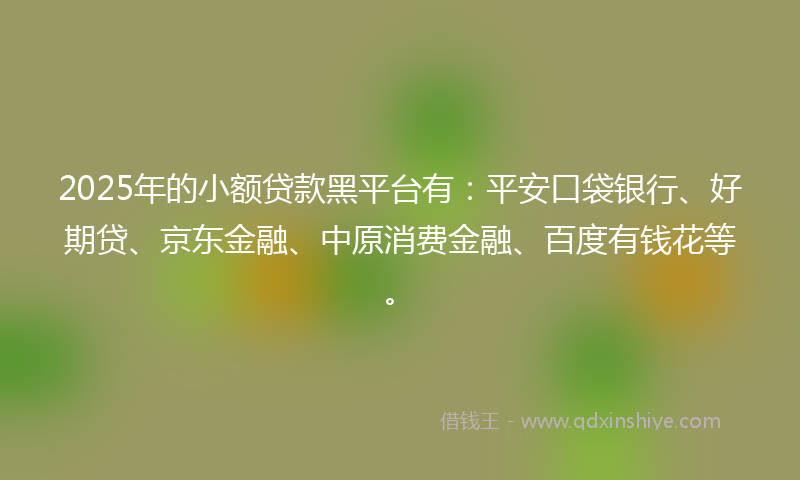 2025年的小额贷款黑平台有：平安口袋银行、好期贷、京东金融、中原消费金融、百度有钱花等。