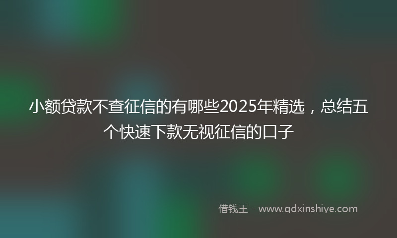 小额贷款不查征信的有哪些2025年精选，总结五个快速下款无视征信的口子