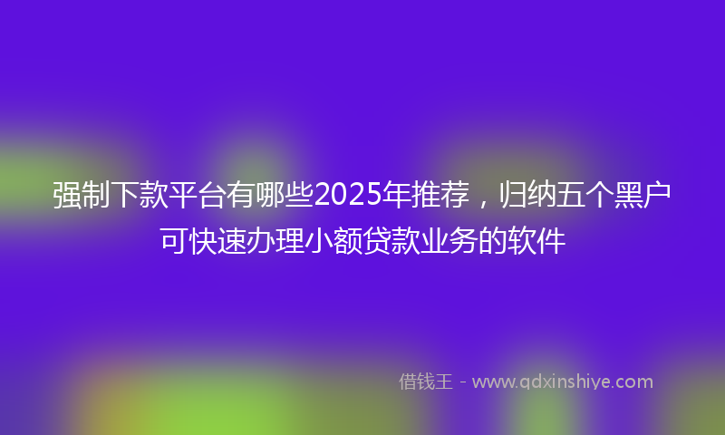强制下款平台有哪些2025年推荐，归纳五个黑户可快速办理小额贷款业务的软件