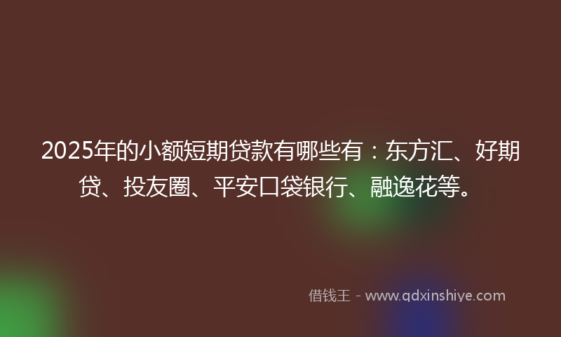 2025年的小额短期贷款有哪些有：东方汇、好期贷、投友圈、平安口袋银行、融逸花等。