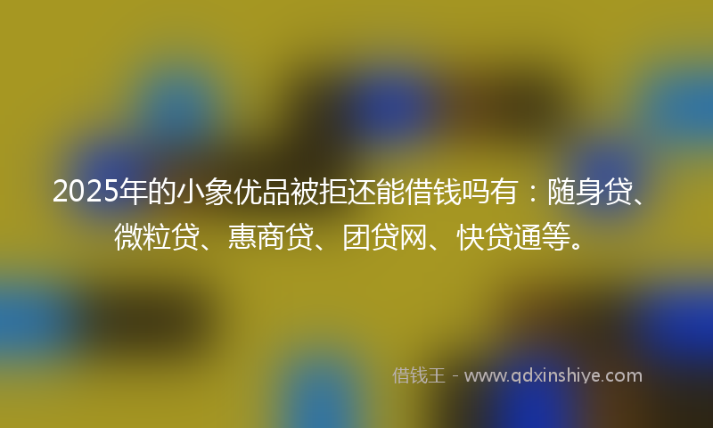2025年的小象优品被拒还能借钱吗有：随身贷、微粒贷、惠商贷、团贷网、快贷通等。