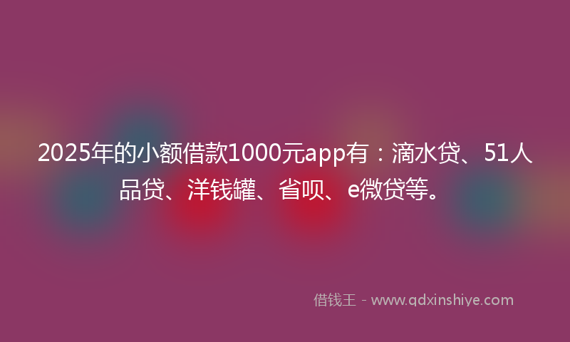 2025年的小额借款1000元app有：滴水贷、51人品贷、洋钱罐、省呗、e微贷等。