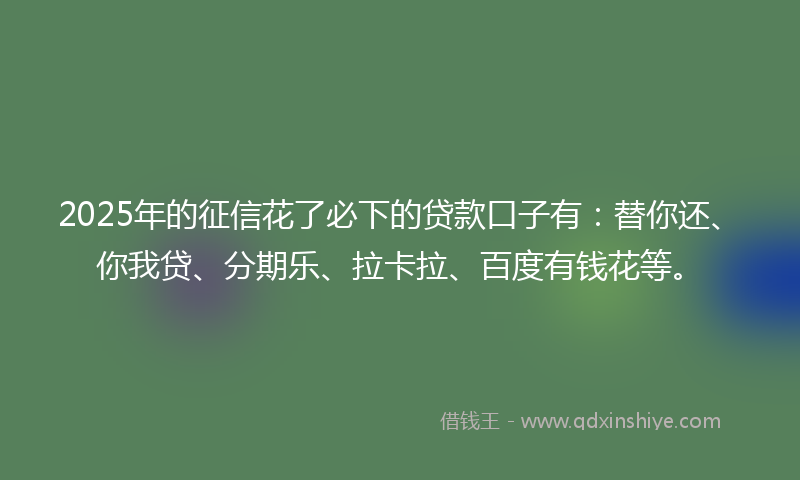 2025年的征信花了必下的贷款口子有：替你还、你我贷、分期乐、拉卡拉、百度有钱花等。