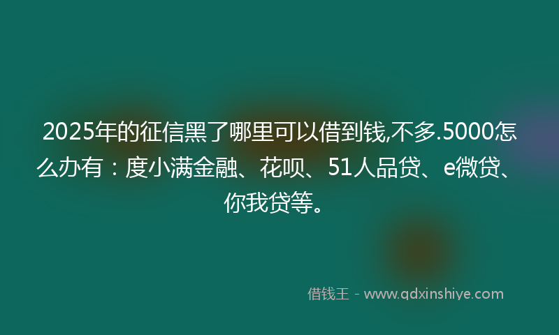 2025年的征信黑了哪里可以借到钱,不多.5000怎么办有：度小满金融、花呗、51人品贷、e微贷、你我贷等。