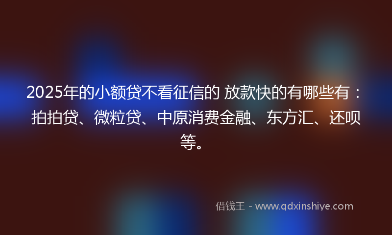 2025年的小额贷不看征信的 放款快的有哪些有：拍拍贷、微粒贷、中原消费金融、东方汇、还呗等。