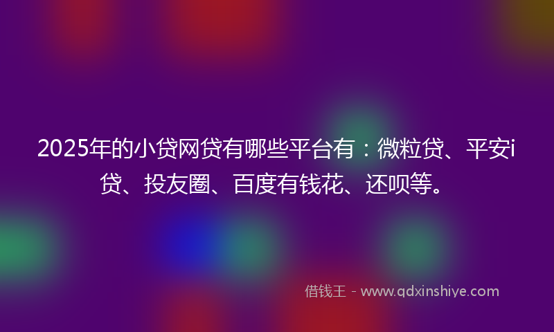 2025年的小贷网贷有哪些平台有：微粒贷、平安i贷、投友圈、百度有钱花、还呗等。