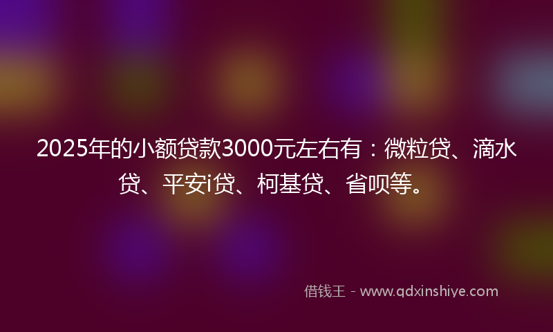 2025年的小额贷款3000元左右有：微粒贷、滴水贷、平安i贷、柯基贷、省呗等。