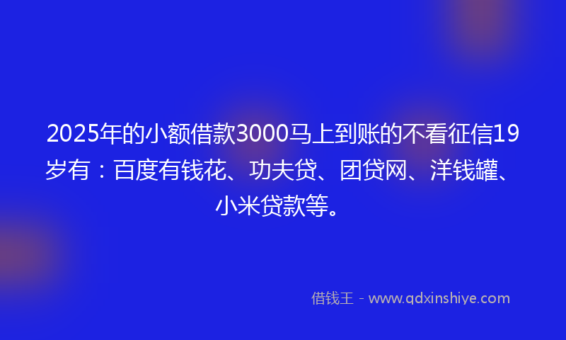2025年的小额借款3000马上到账的不看征信19岁有：百度有钱花、功夫贷、团贷网、洋钱罐、小米贷款等。