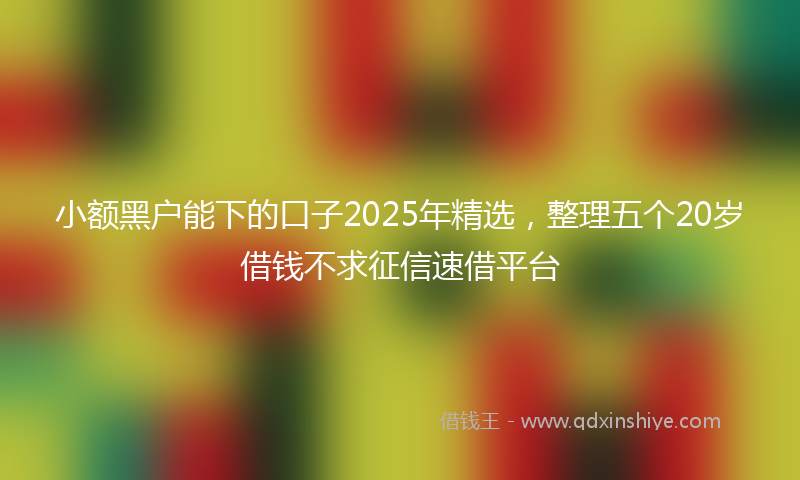 小额黑户能下的口子2025年精选，整理五个20岁借钱不求征信速借平台