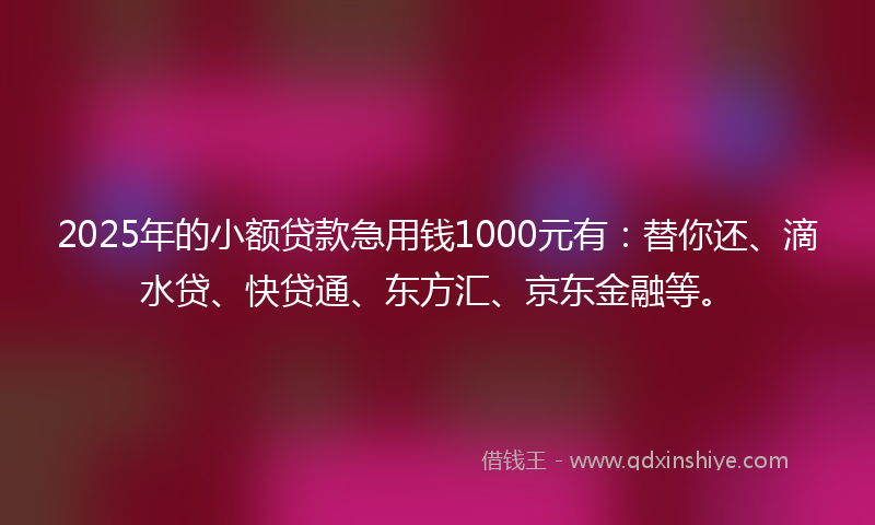 2025年的小额贷款急用钱1000元有：替你还、滴水贷、快贷通、东方汇、京东金融等。