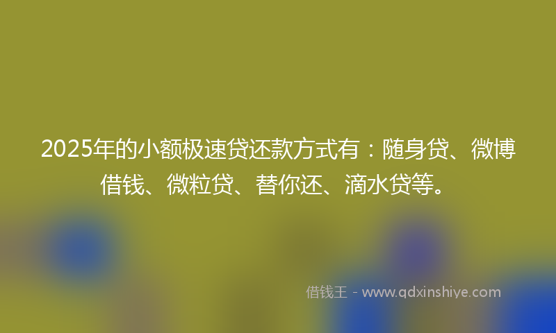 2025年的小额极速贷还款方式有：随身贷、微博借钱、微粒贷、替你还、滴水贷等。