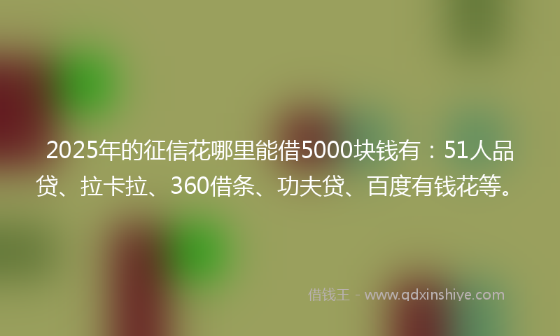 2025年的征信花哪里能借5000块钱有：51人品贷、拉卡拉、360借条、功夫贷、百度有钱花等。