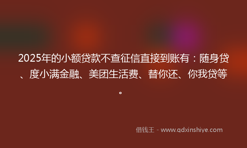 2025年的小额贷款不查征信直接到账有：随身贷、度小满金融、美团生活费、替你还、你我贷等。