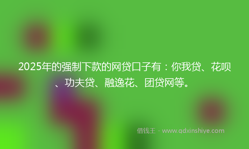 2025年的强制下款的网贷口子有：你我贷、花呗、功夫贷、融逸花、团贷网等。