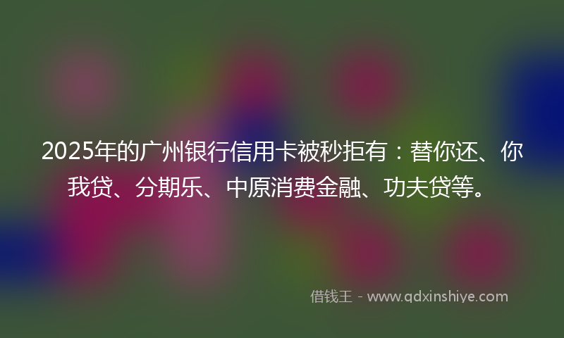 2025年的广州银行信用卡被秒拒有：替你还、你我贷、分期乐、中原消费金融、功夫贷等。