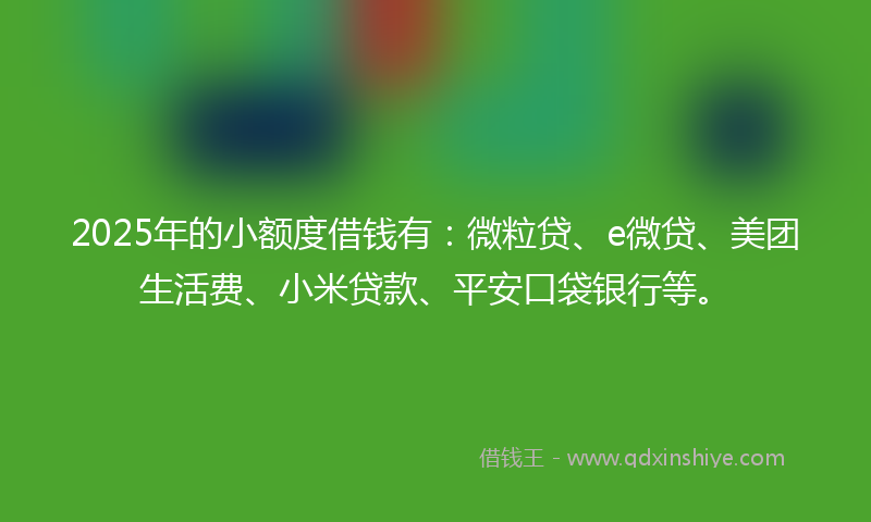 2025年的小额度借钱有：微粒贷、e微贷、美团生活费、小米贷款、平安口袋银行等。