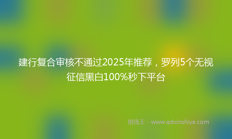 建行复合审核不通过2025年推荐，罗列5个无视征信黑白100%秒下平台