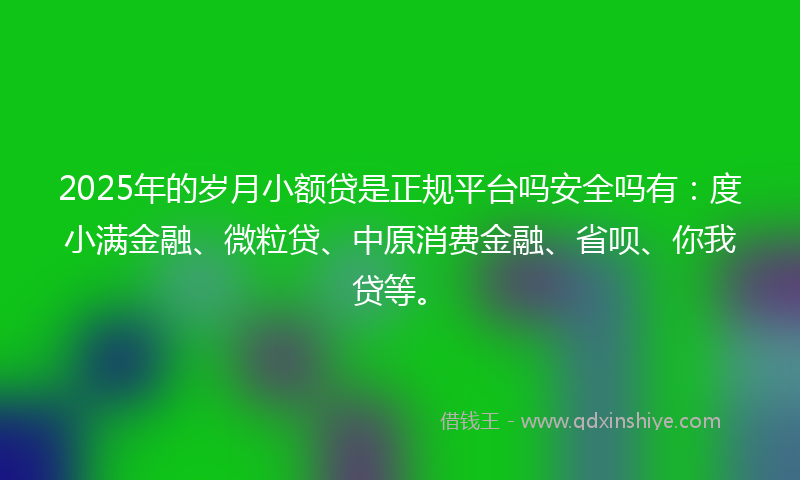 2025年的岁月小额贷是正规平台吗安全吗有：度小满金融、微粒贷、中原消费金融、省呗、你我贷等。