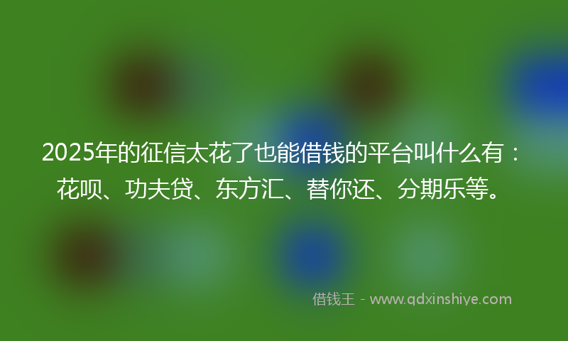 2025年的征信太花了也能借钱的平台叫什么有：花呗、功夫贷、东方汇、替你还、分期乐等。