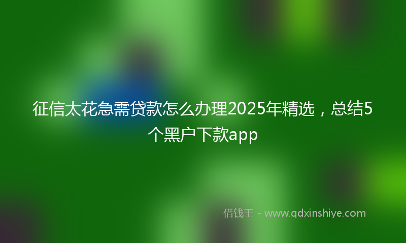 征信太花急需贷款怎么办理2025年精选，总结5个黑户下款app