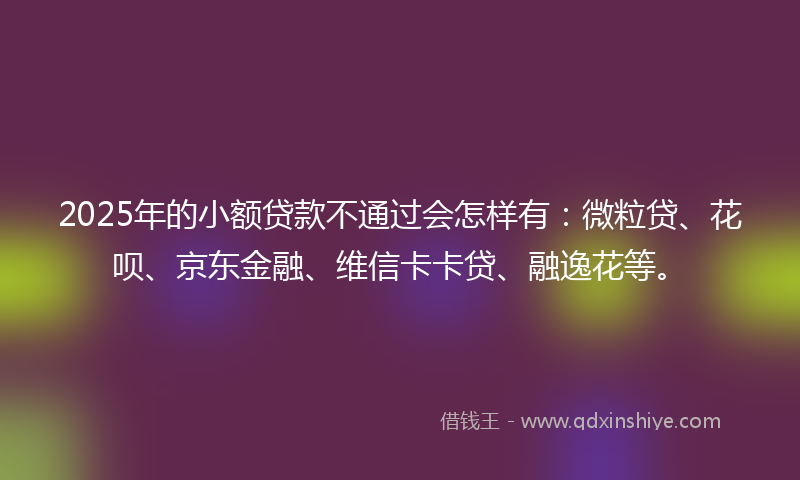 2025年的小额贷款不通过会怎样有：微粒贷、花呗、京东金融、维信卡卡贷、融逸花等。