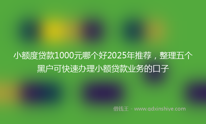 小额度贷款1000元哪个好2025年推荐，整理五个黑户可快速办理小额贷款业务的口子