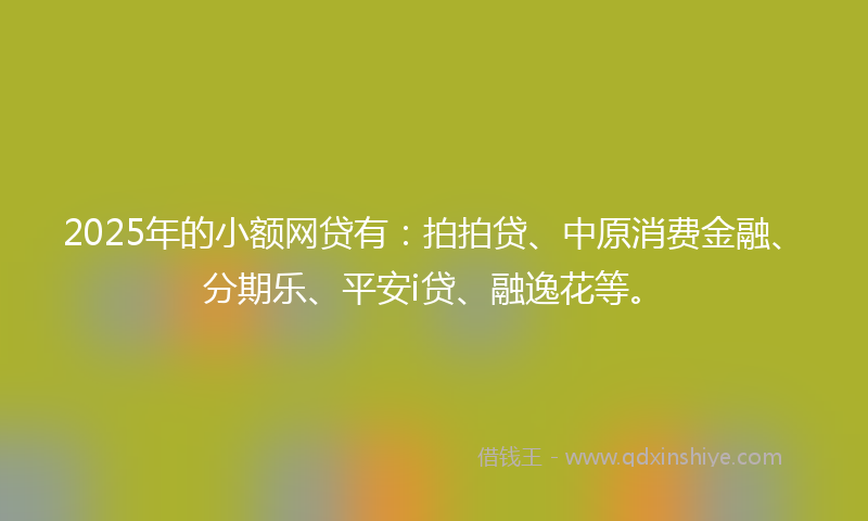 2025年的小额网贷有：拍拍贷、中原消费金融、分期乐、平安i贷、融逸花等。