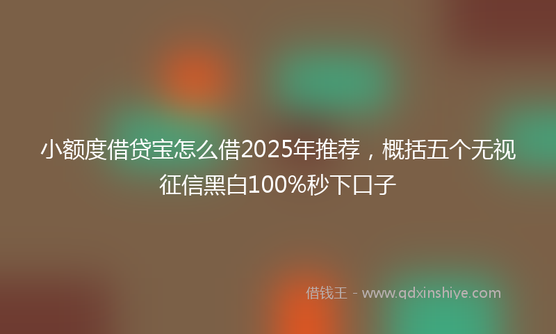 小额度借贷宝怎么借2025年推荐，概括五个无视征信黑白100%秒下口子