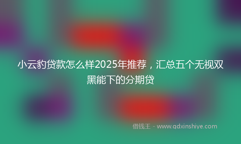 小云豹贷款怎么样2025年推荐，汇总五个无视双黑能下的分期贷