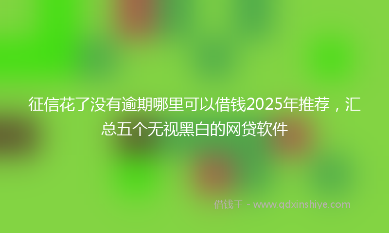 征信花了没有逾期哪里可以借钱2025年推荐，汇总五个无视黑白的网贷软件