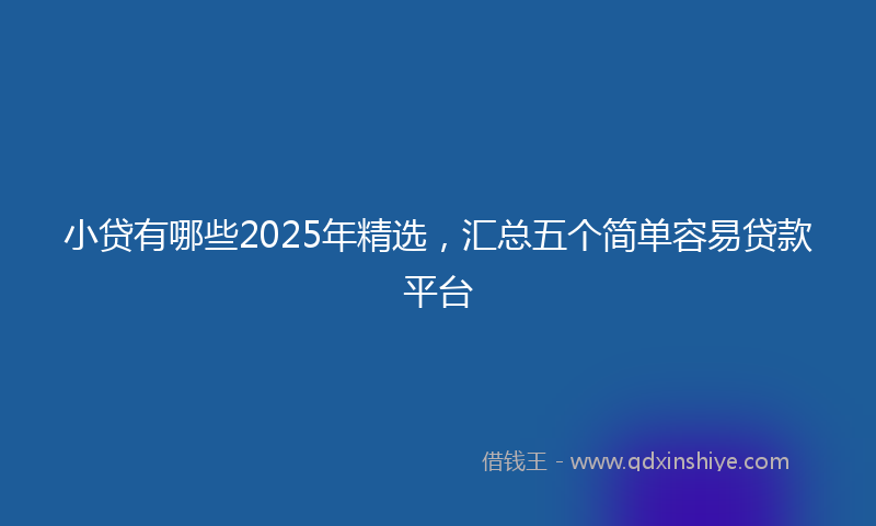 小贷有哪些2025年精选，汇总五个简单容易贷款平台