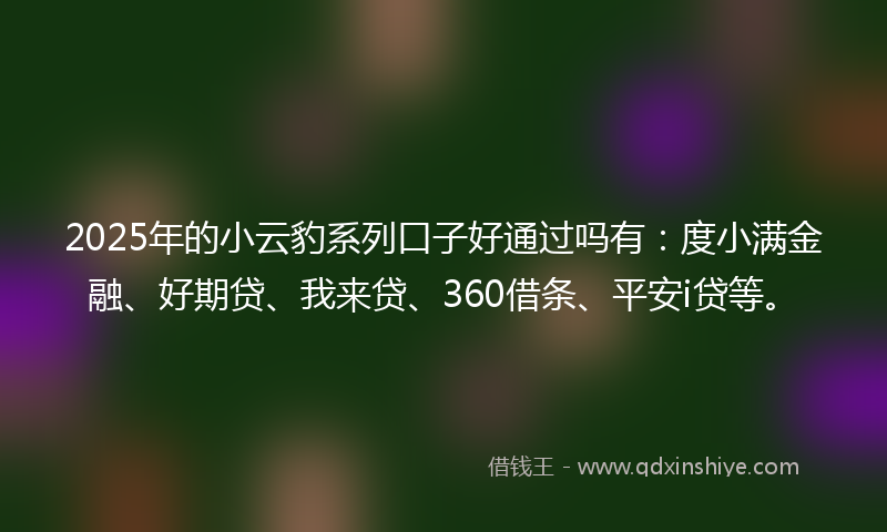 2025年的小云豹系列口子好通过吗有：度小满金融、好期贷、我来贷、360借条、平安i贷等。