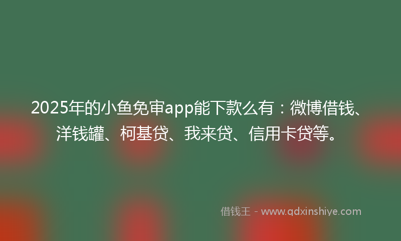 2025年的小鱼免审app能下款么有：微博借钱、洋钱罐、柯基贷、我来贷、信用卡贷等。