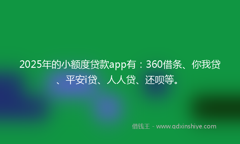 2025年的小额度贷款app有：360借条、你我贷、平安i贷、人人贷、还呗等。