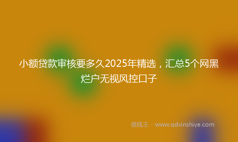 小额贷款审核要多久2025年精选，汇总5个网黑烂户无视风控口子