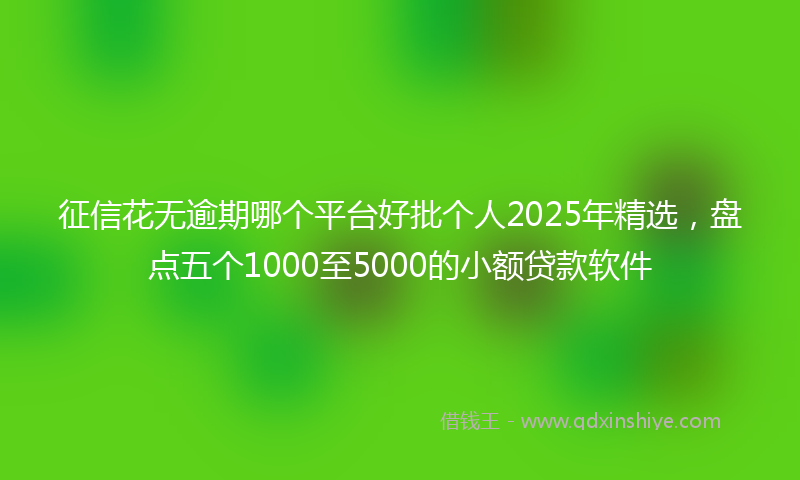 征信花无逾期哪个平台好批个人2025年精选，盘点五个1000至5000的小额贷款软件
