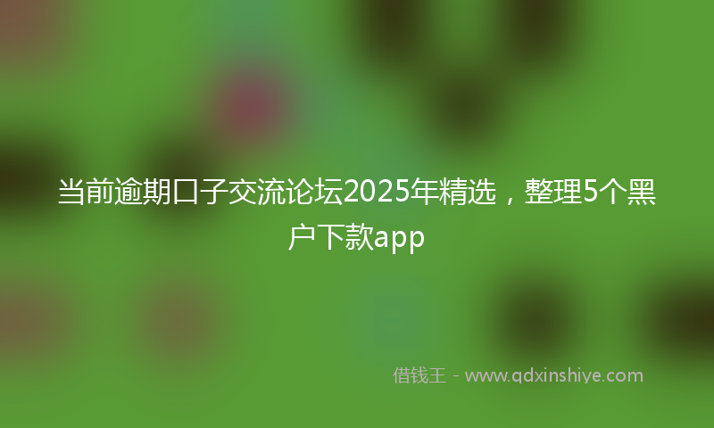 当前逾期口子交流论坛2025年精选，整理5个黑户下款app
