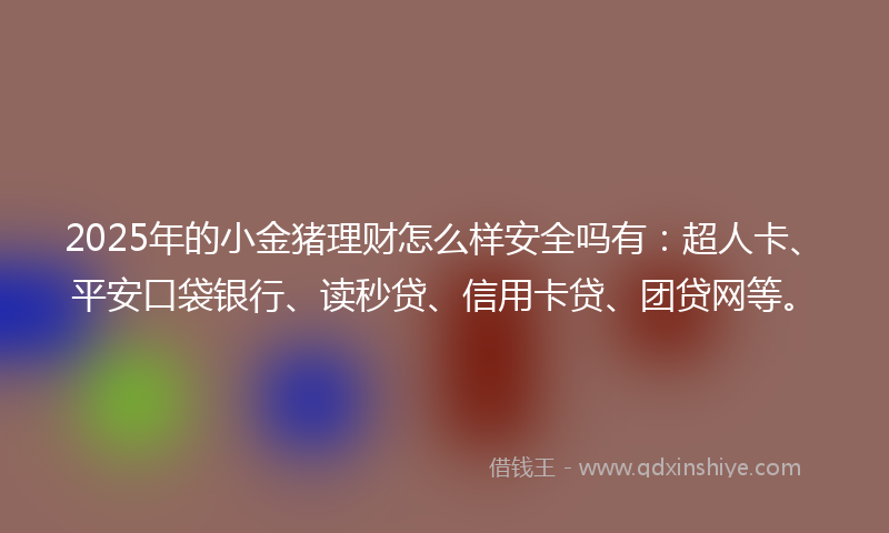 2025年的小金猪理财怎么样安全吗有：超人卡、平安口袋银行、读秒贷、信用卡贷、团贷网等。