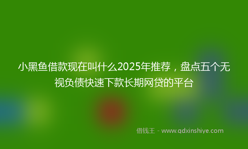 小黑鱼借款现在叫什么2025年推荐，盘点五个无视负债快速下款长期网贷的平台