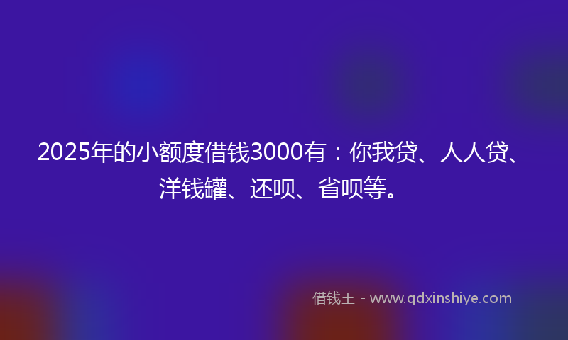 2025年的小额度借钱3000有：你我贷、人人贷、洋钱罐、还呗、省呗等。