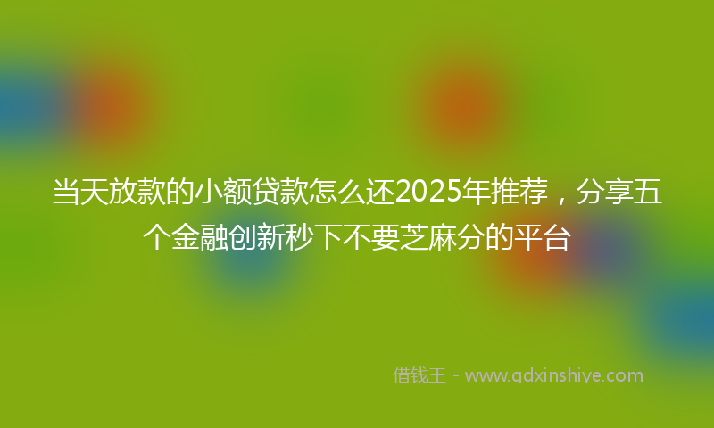 当天放款的小额贷款怎么还2025年推荐，分享五个金融创新秒下不要芝麻分的平台